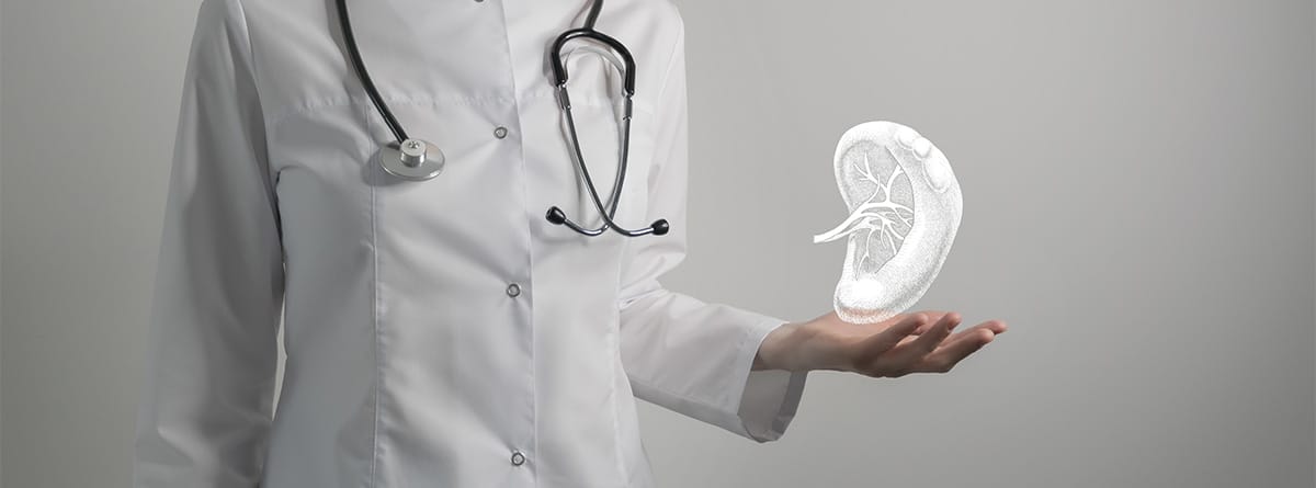 Maqueta 3d de un bazo